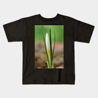 Crocus ochroleucus  Autumn flowering crocus Kids T-Shirt